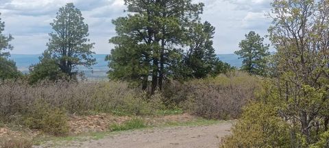 Photo of N Avalon Drive, Norwood, CO 81423 (MLS # 42575)