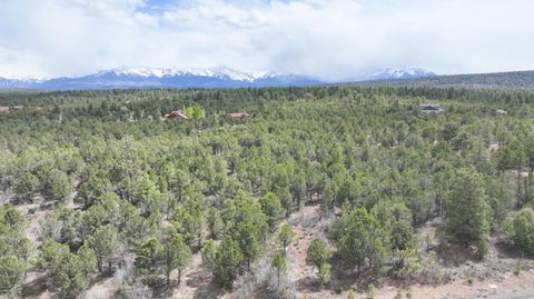 Photo of 212 Fisher Canyon Dr, Ridgway, CO 81432 (MLS # 44110)