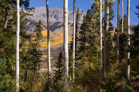 Photo of 172 Country Club Drive, Mountain Village, CO 81435 (MLS # 44156)