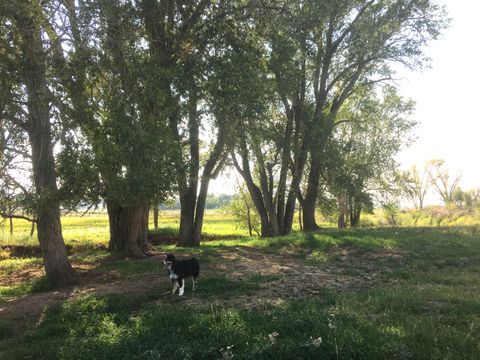 Photo of County Road Y43, Norwood, CO 81423 (MLS # 44290)