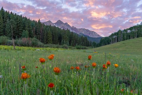 Photo of Sunshine Mesa Road, Telluride, CO 81435 (MLS # 44129)