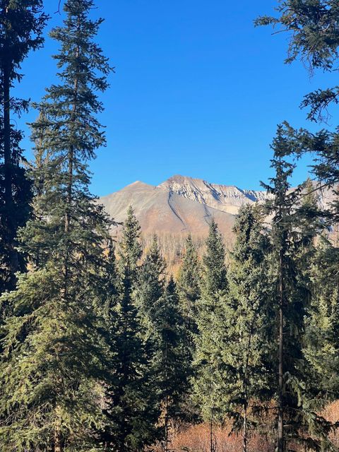 Photo of 530 Elk Run, Telluride, CO 81435 (MLS # 43254)