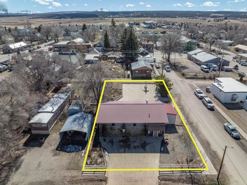 Photo of 1140 Pine Street, Norwood, CO 81423 (MLS # 44289)