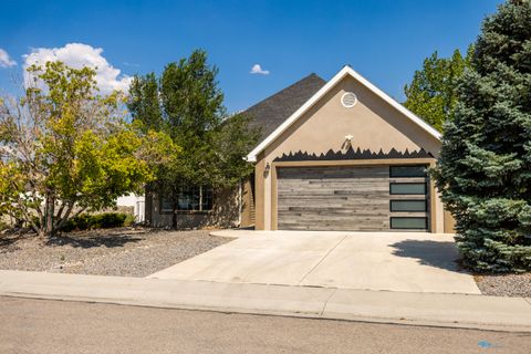 Photo of 1340 Dry Creek Ave. Avenue, Montrose, CO 81401 (MLS # 43973)