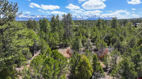 Photo of 5 Cottontail Lane, Ridgway, CO 81432 (MLS # 44113)