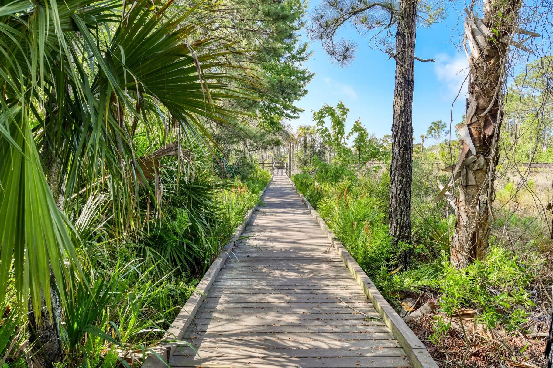 St Augustine, Florida 32084, United States, 3 Bedrooms Bedrooms, ,2 BathroomsBathrooms,Residential,Active,102556