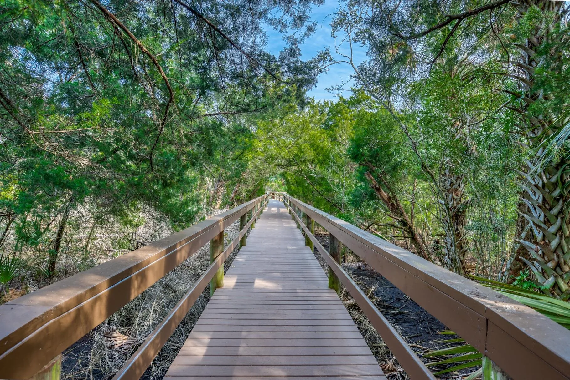 St Augustine, Florida 32084, United States, 3 Bedrooms Bedrooms, ,2 BathroomsBathrooms,Residential,Active,102556