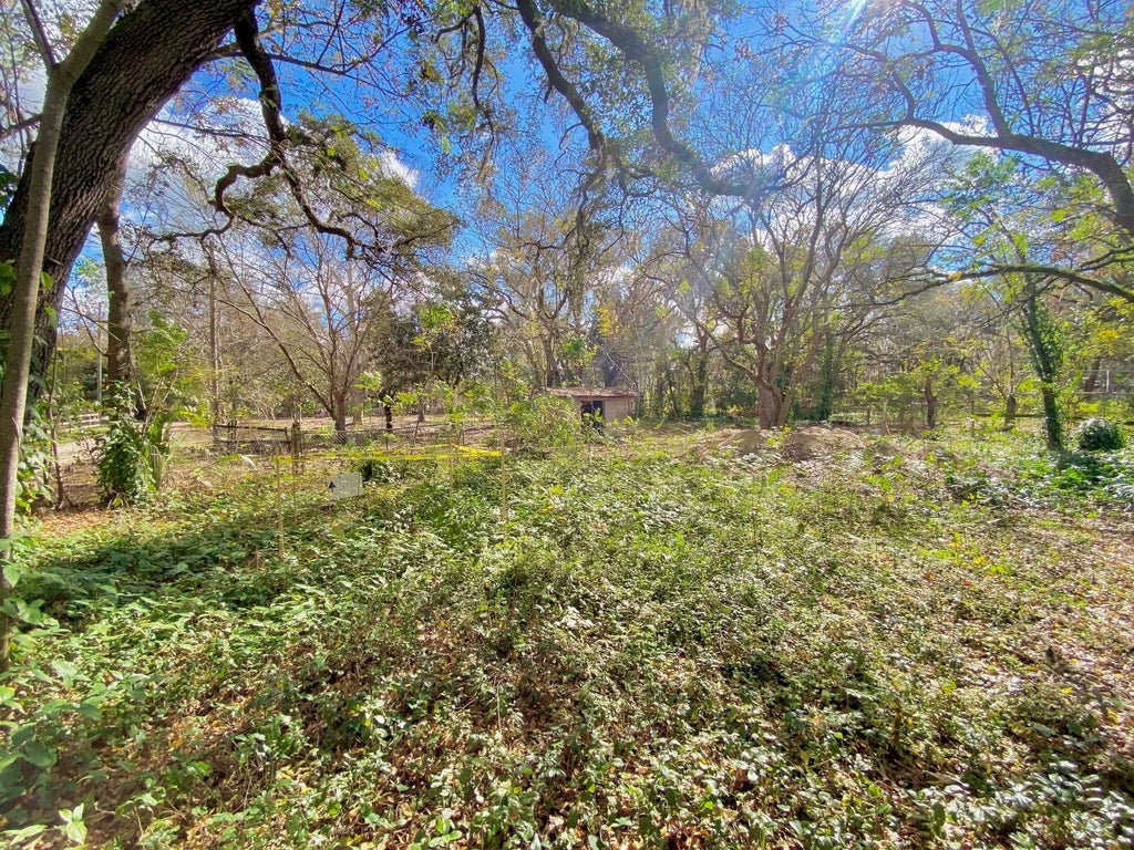 Photo of 18990 SE 95th Pl, Ocklawaha, FL 32179 (MLS # 260305)