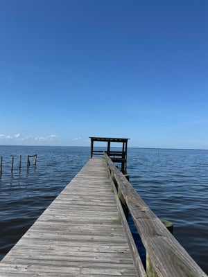 118 JULY AVE, GEORGETOWN, FL 32139 - Image 5351ca9fa85fc0a87cb65a379f1a9d2b/4038789949