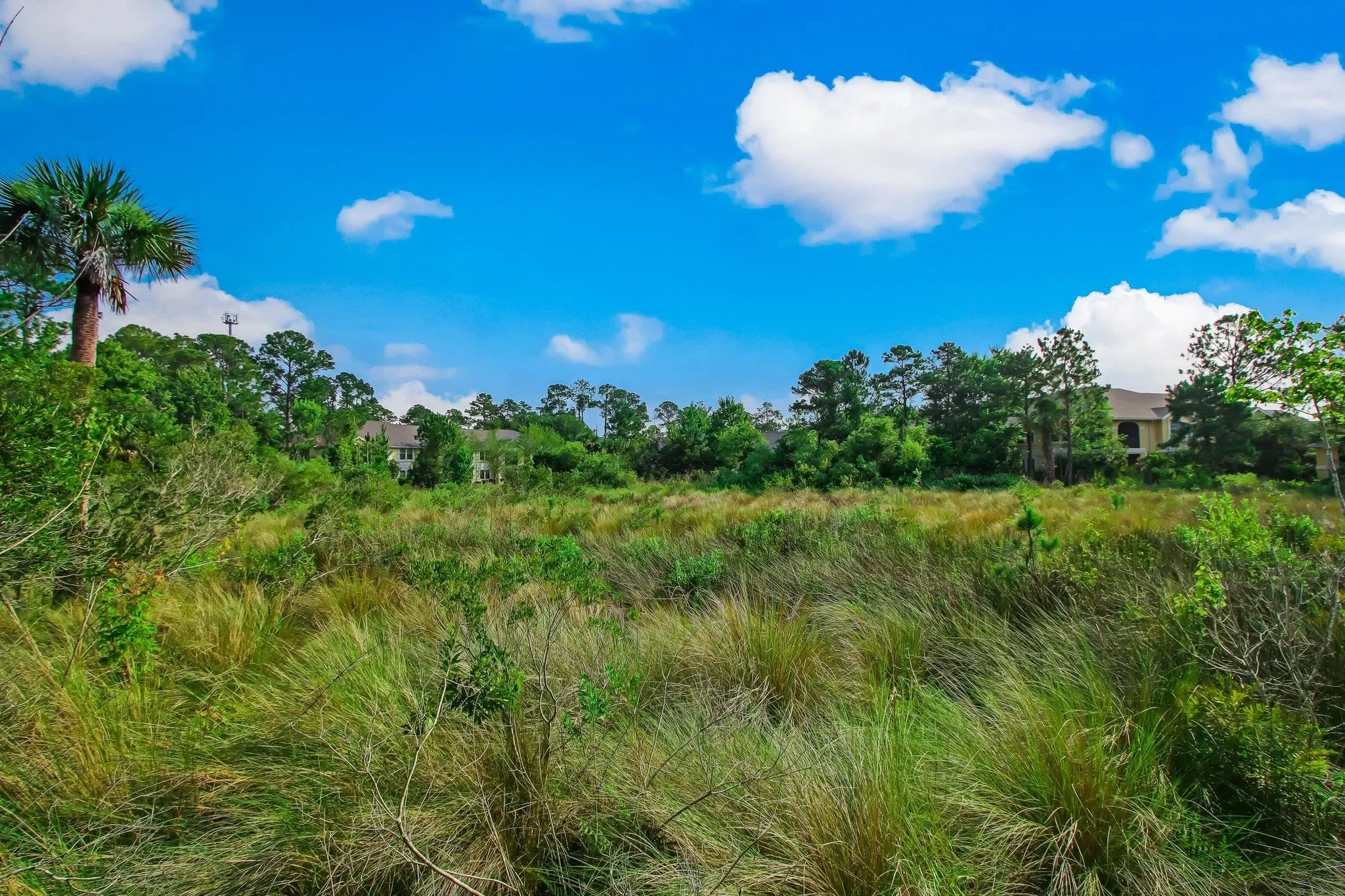 St Augustine, Florida 32084, United States, 3 Bedrooms Bedrooms, ,2 BathroomsBathrooms,Residential,Active,255233