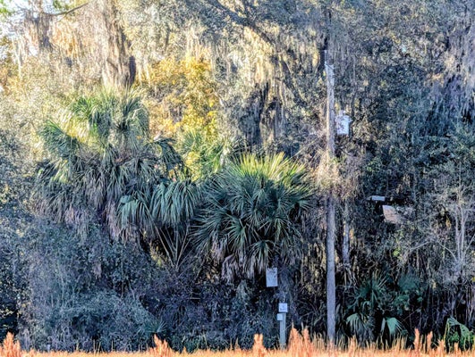 PUTNAM AVE, EAST PALATKA, FL 32131 - Image 7be24c6221dcce0b0207f8d8e88cff9b/1481829486