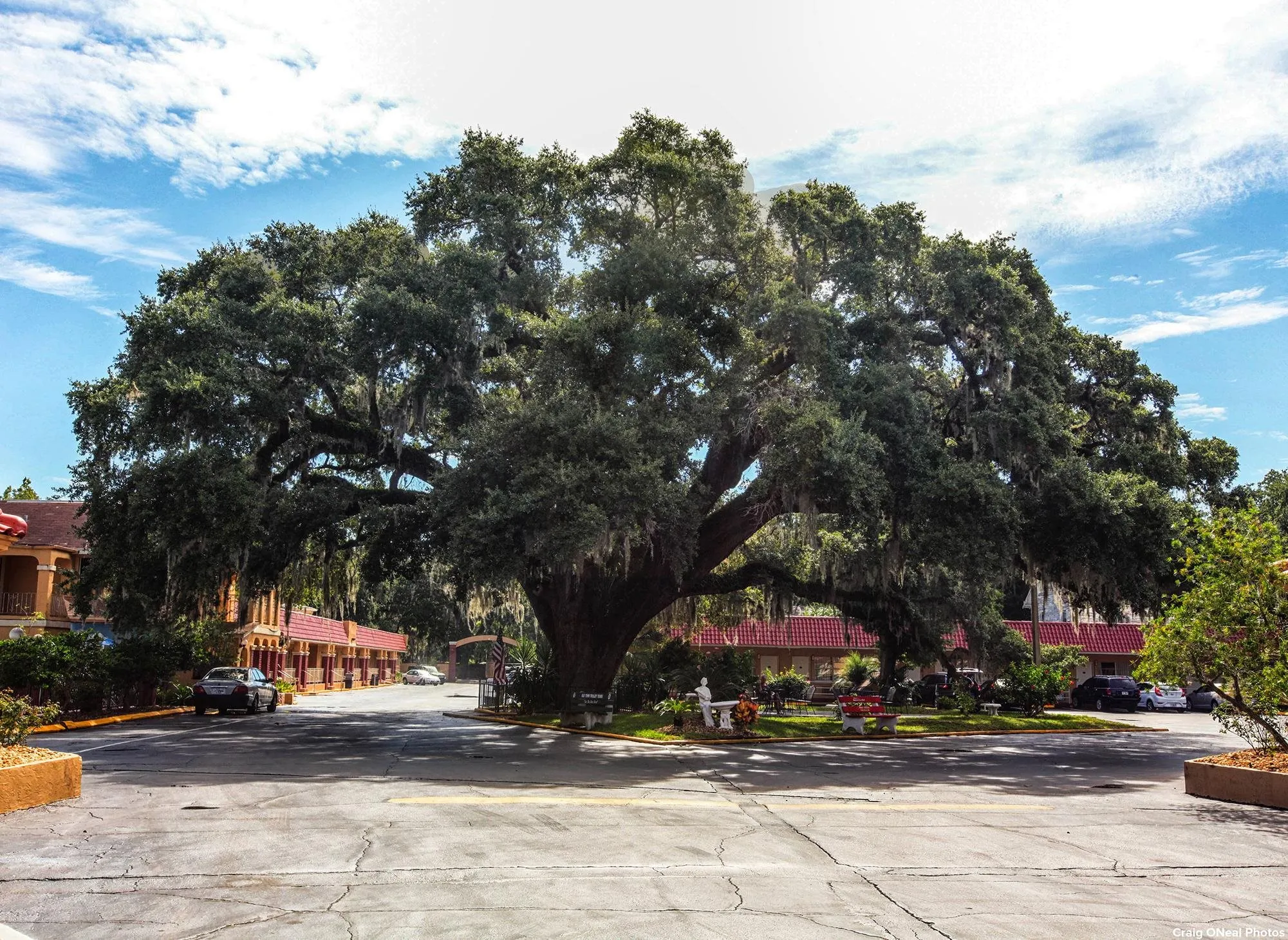 St Augustine, Florida 32080, United States, 3 Bedrooms Bedrooms, ,2 BathroomsBathrooms,Residential,Active,1187