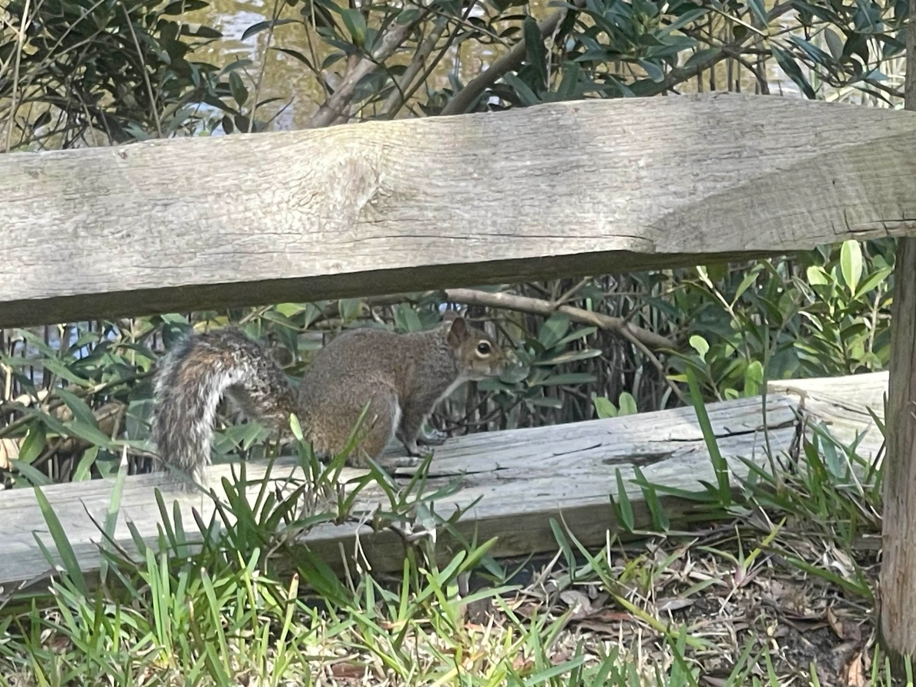 St Augustine, Florida 32080, United States, 3 Bedrooms Bedrooms, ,2 BathroomsBathrooms,Residential,Active,157