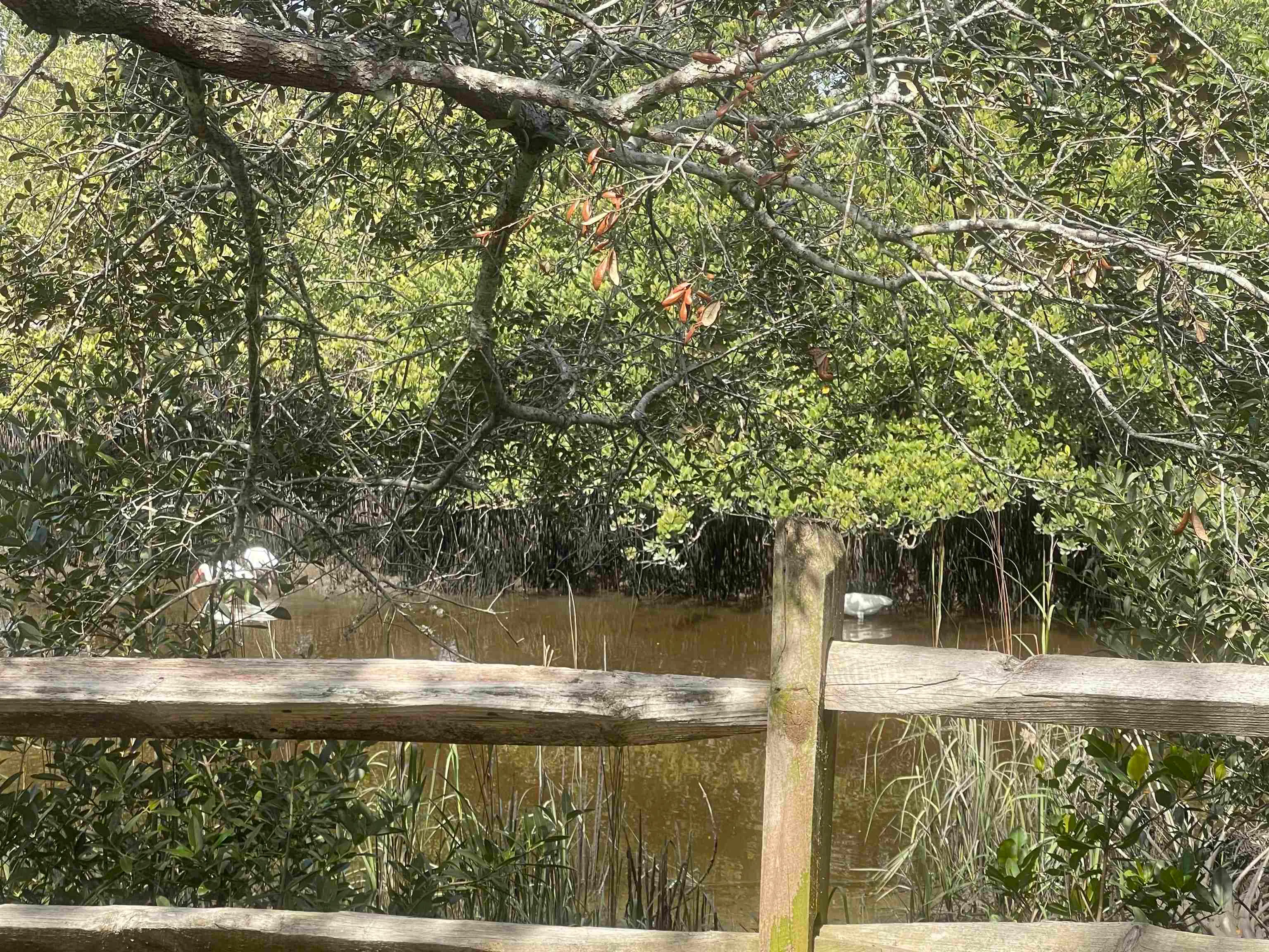 St Augustine, Florida 32080, United States, 3 Bedrooms Bedrooms, ,2 BathroomsBathrooms,Residential,Active,157