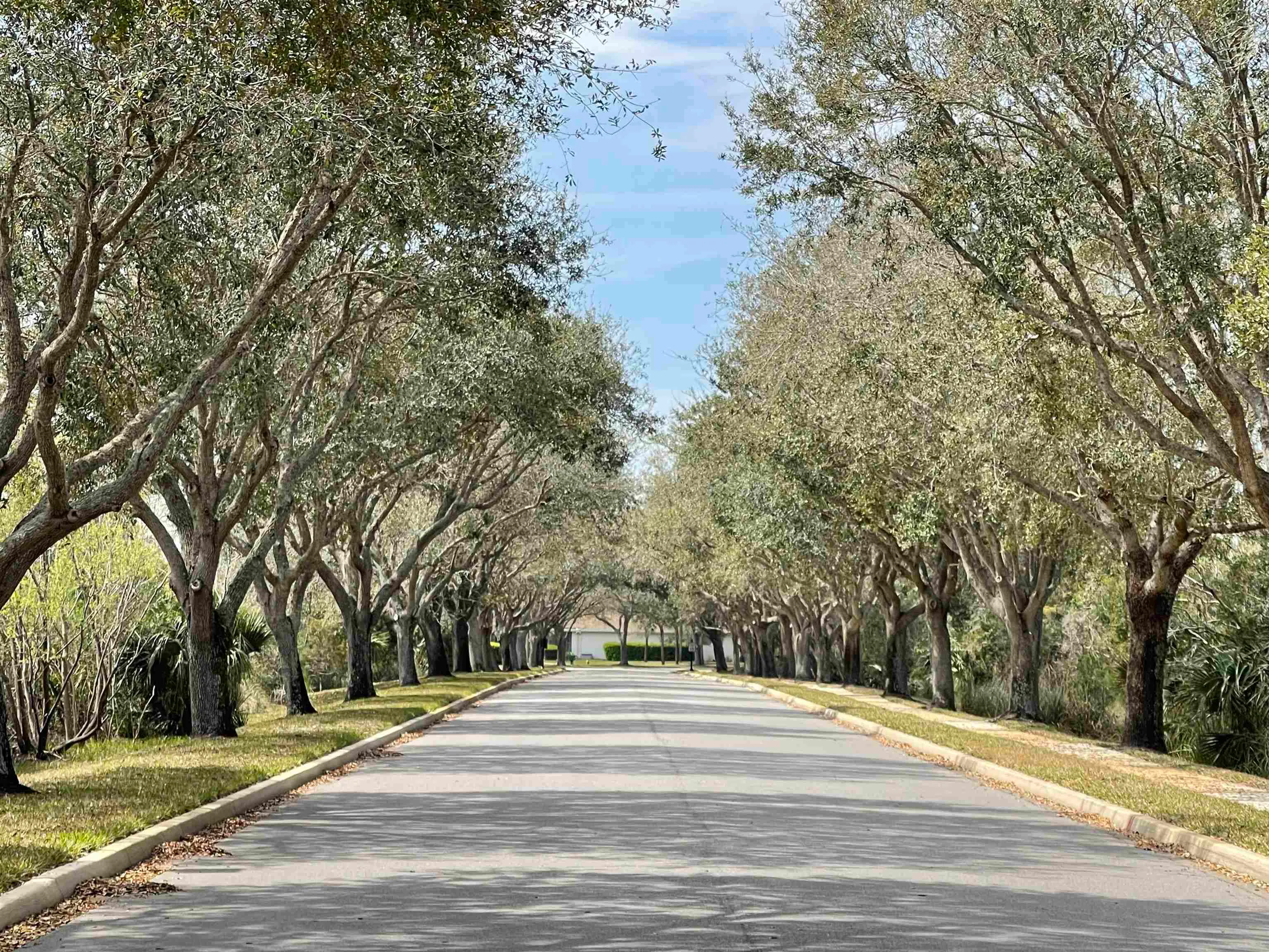 St Augustine, Florida 32080, United States, 3 Bedrooms Bedrooms, ,2 BathroomsBathrooms,Residential,Active,157