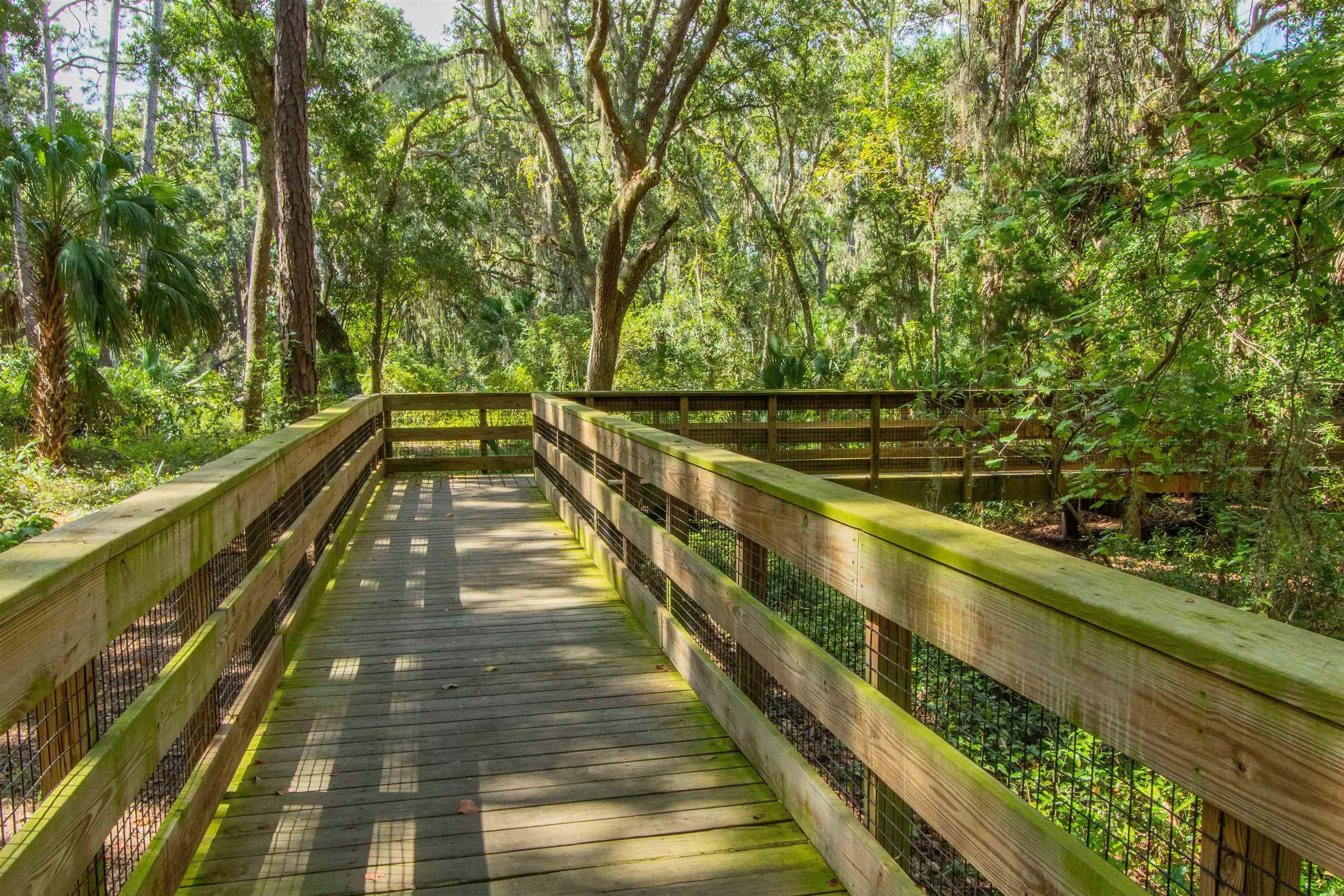 St Augustine, Florida 32086, United States, 2 Bedrooms Bedrooms, ,2 BathroomsBathrooms,Residential,Active,13483