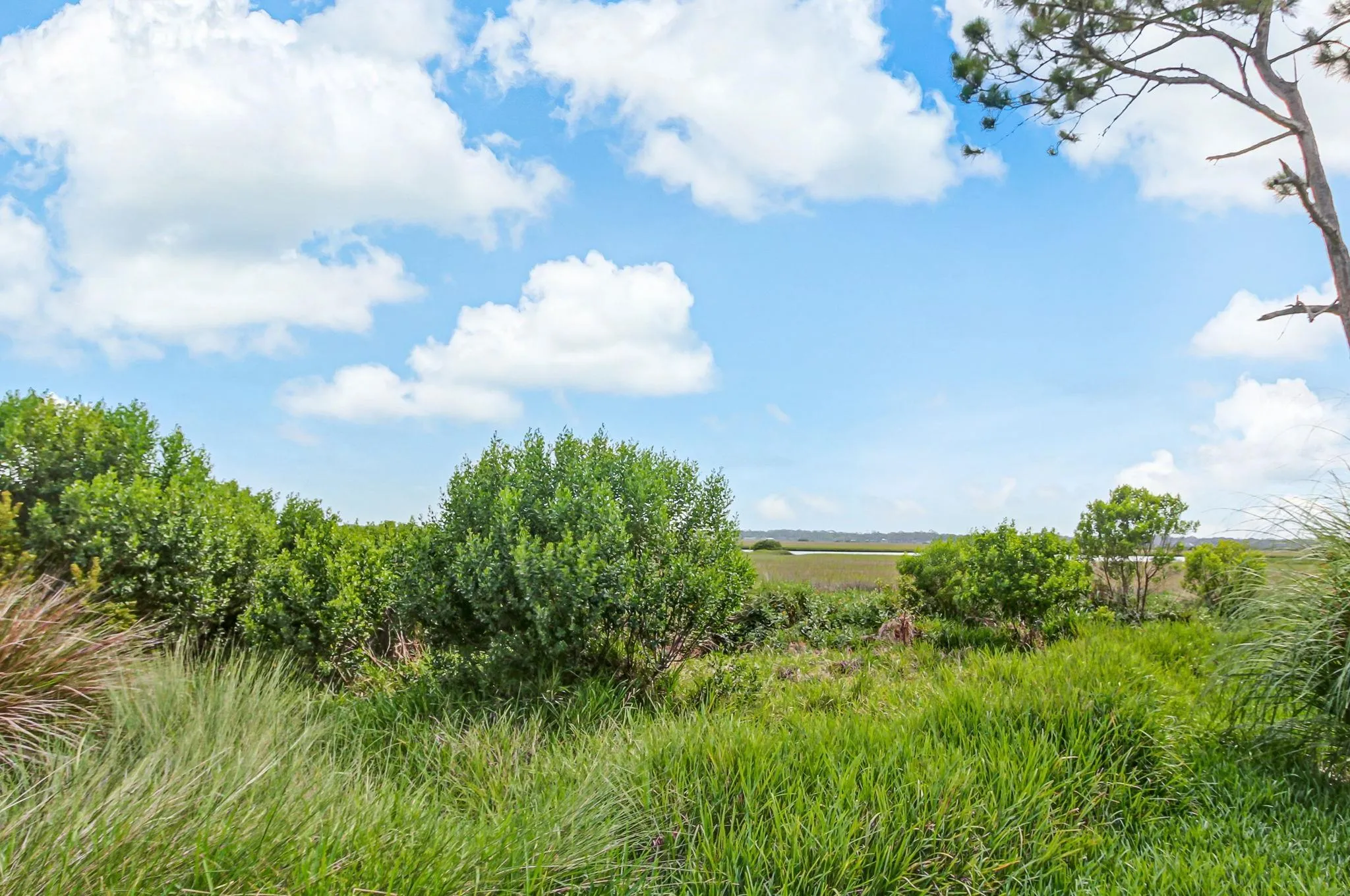 St Augustine, Florida, 32080, United States, 4 Bedrooms Bedrooms, ,3 BathroomsBathrooms,Residential,Active,1985821