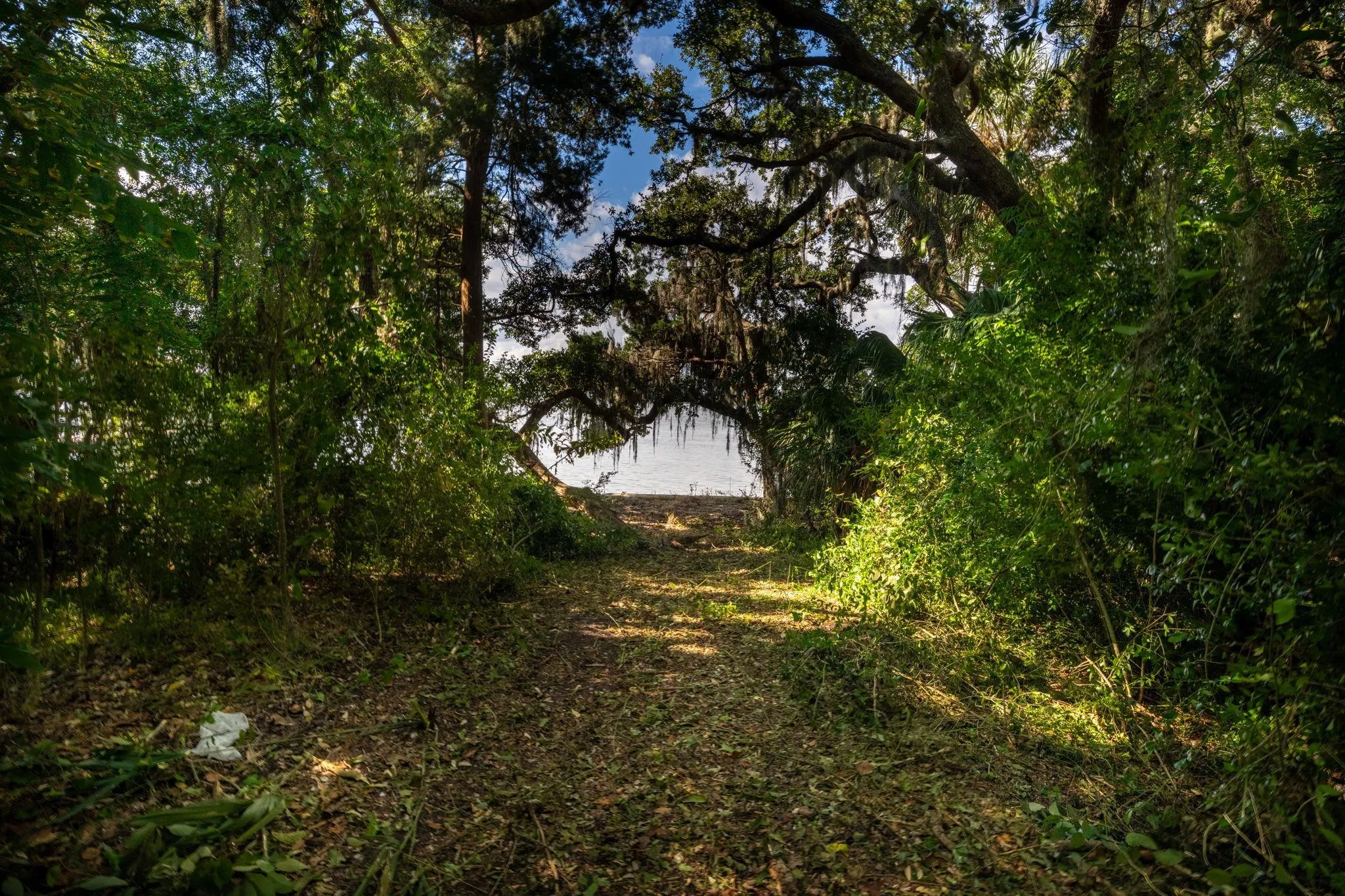 St Augustine, Florida, 32080, United States, ,Land,Active,1988685