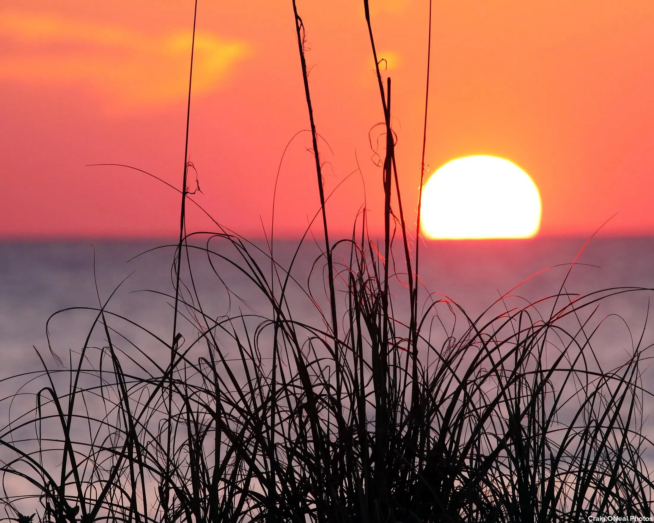 St Augustine, Florida 32086, United States, 3 Bedrooms Bedrooms, ,2 BathroomsBathrooms,Residential,Active,245288