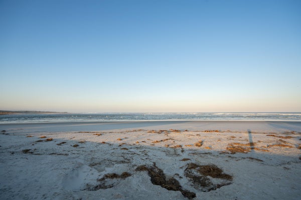 8830 OLD A1A, ST AUGUSTINE, FL 32080 - Image dfeeca719fdc7603f66bb6b08076716d/548143067
