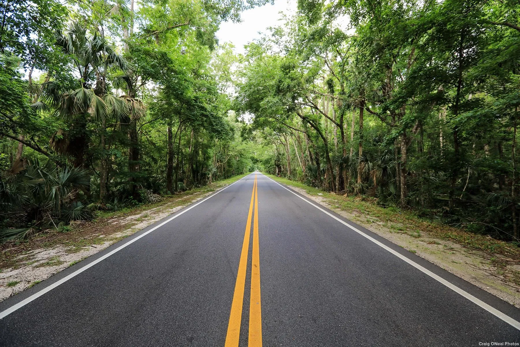 St Augustine, Florida 32086, United States, 2 Bedrooms Bedrooms, ,2 BathroomsBathrooms,Residential,Pending,184118