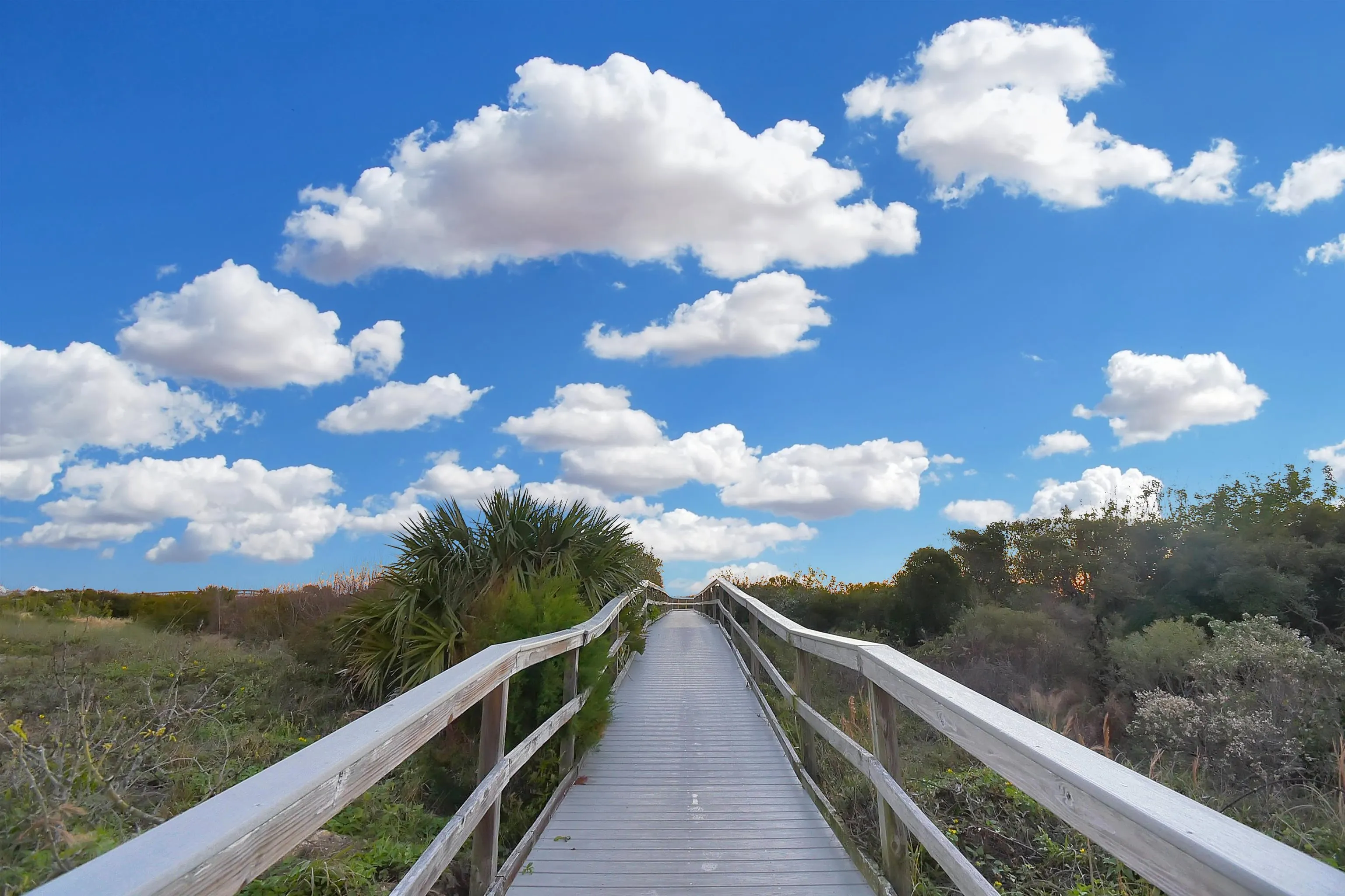 24 Linda Mar Dr, St Augustine, FL, 32080, US, 4 Bedrooms Bedrooms, ,4 BathroomsBathrooms,Residential,Active,24 Linda Mar Dr,1667243