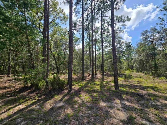SW 57TH AVE, INTERLACHEN, FL 32148 - Image fcce9af91669caed205181a3e4938c44/1006435171