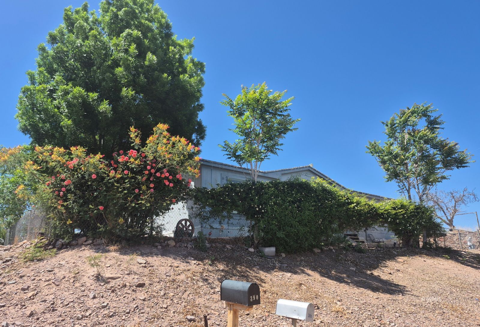 385 Hackberry Dr