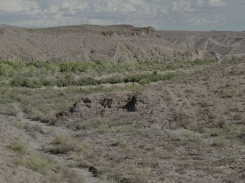 TBD N Earven Flat Rd Safford AZ 85546