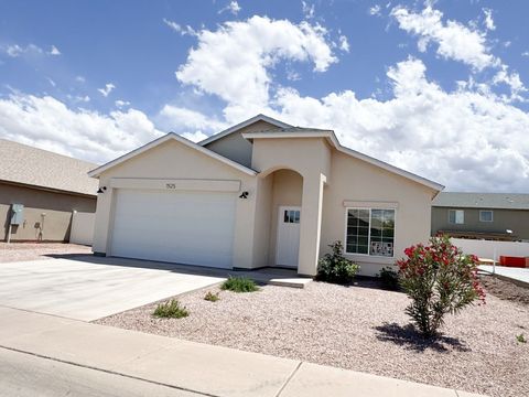 1505 Katelyn Ln Safford AZ 85546