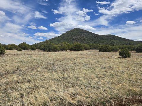 CR 3144 Pinetop/Lakeside AZ 85935