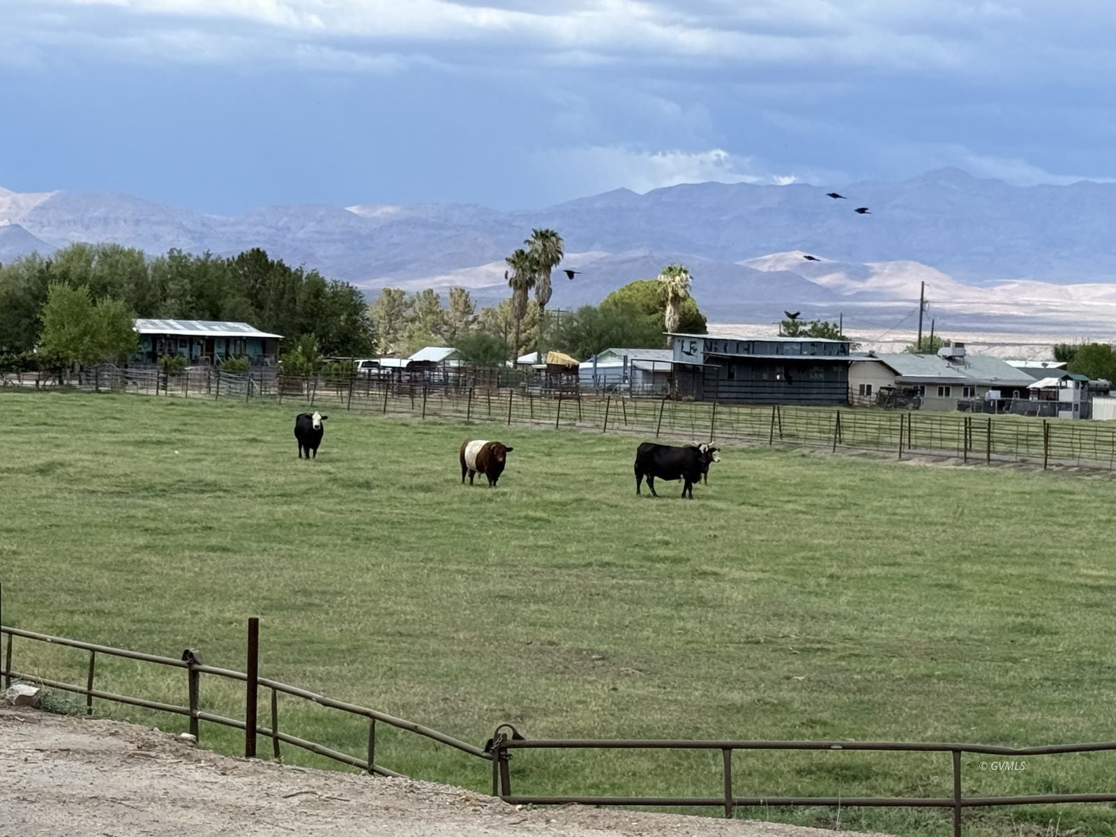 TBD E Alma Ln (4 Acre)