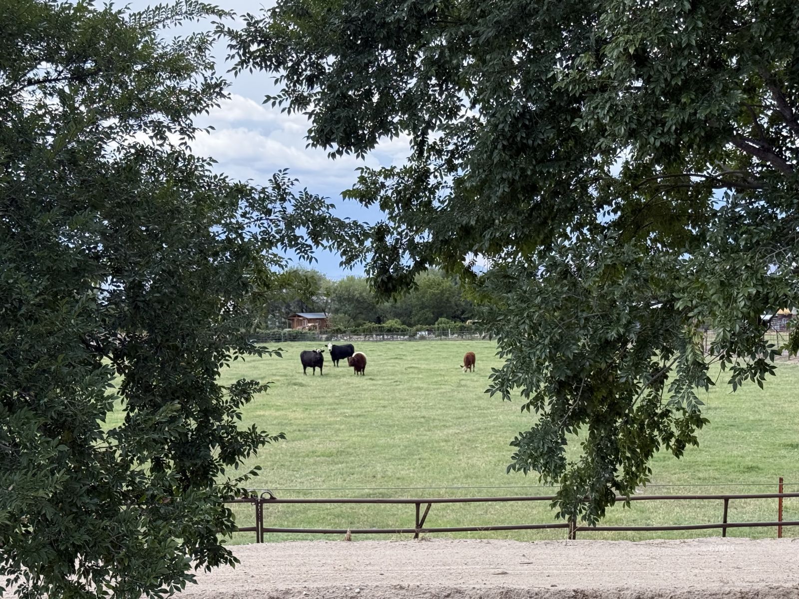 TBD E Alma Ln (4 Acre)