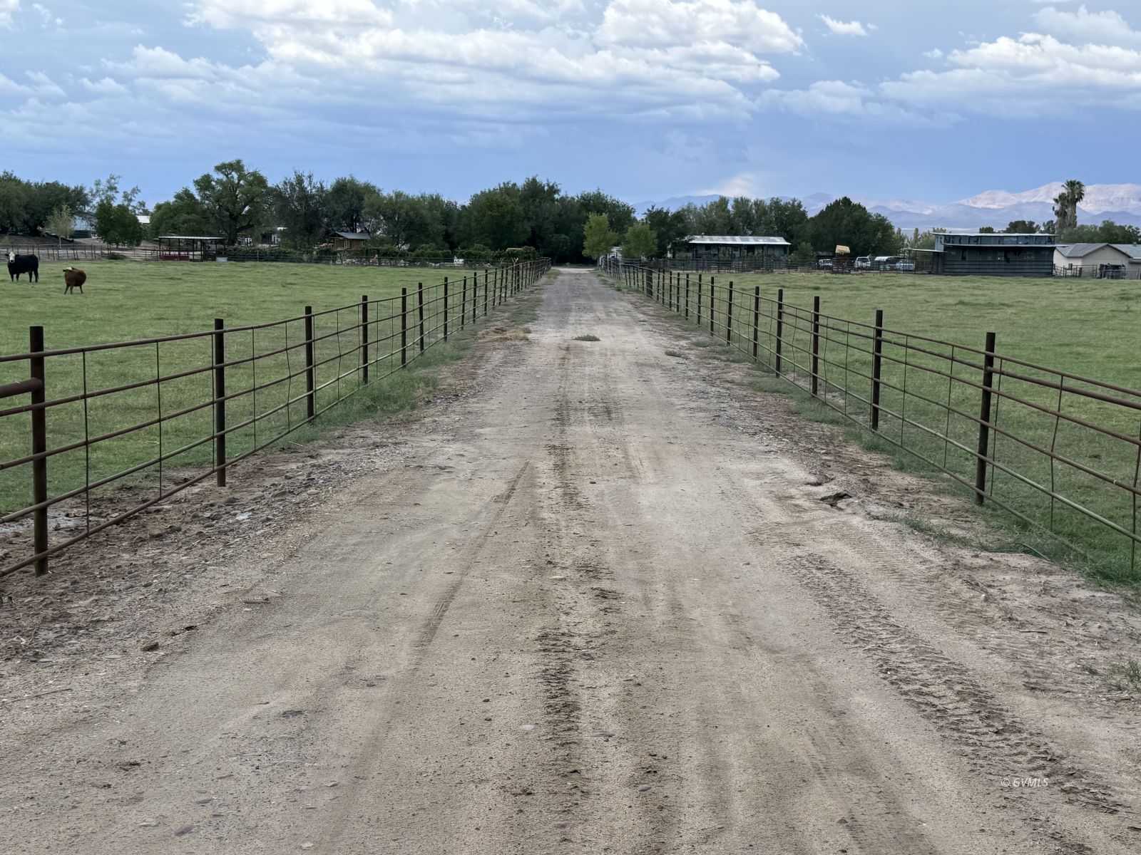 TBD E Alma Ln (4 Acre)