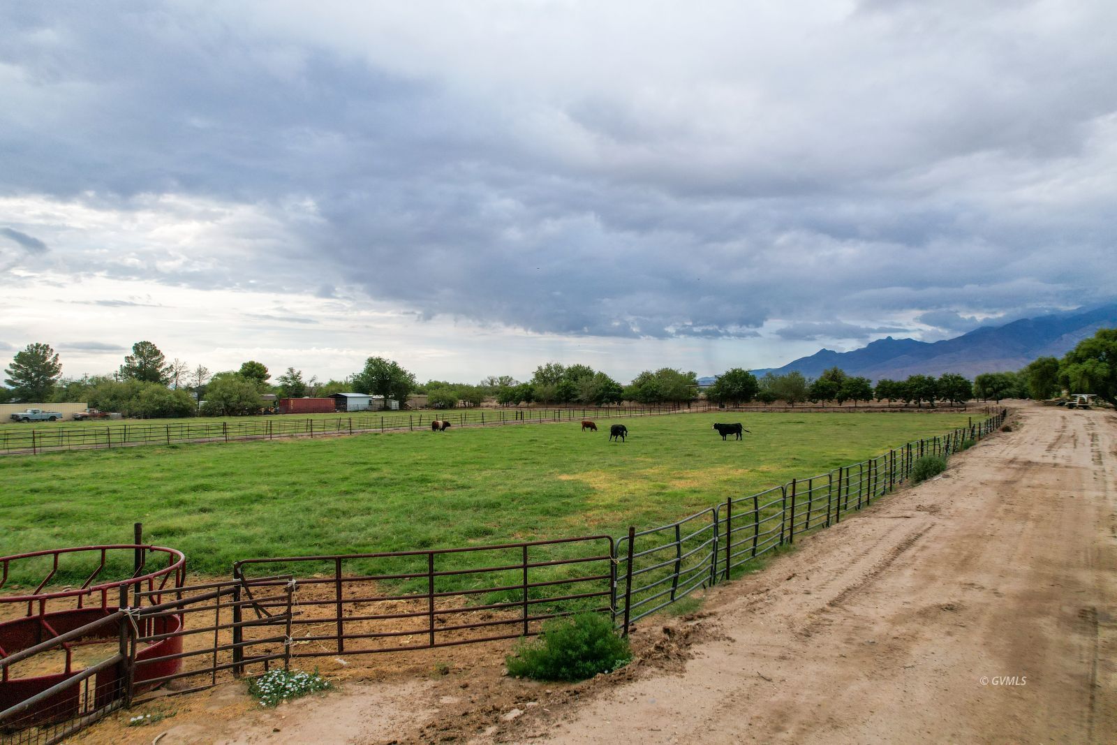 TBD E Alma Ln (4 Acre)