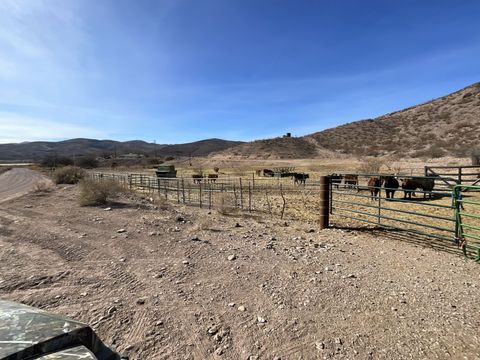 TBD Duncan AZ 85534