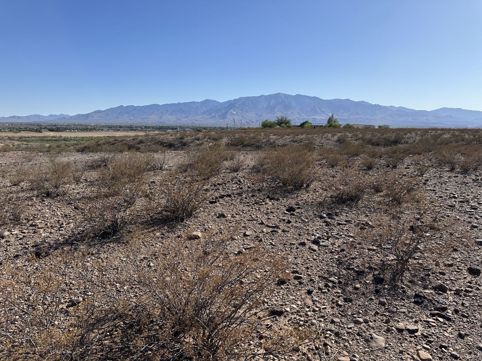 La Quinta Ln