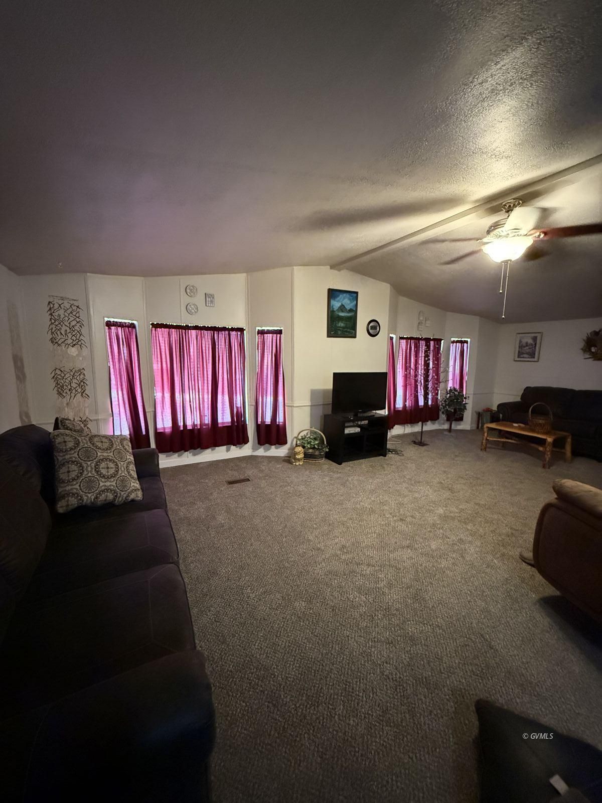 223 E Calle De Buena Vista