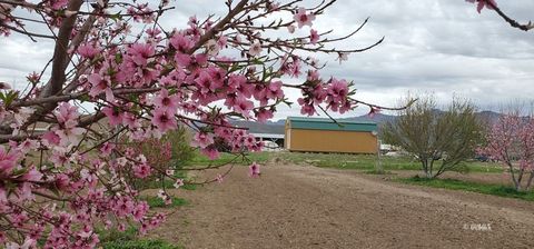 13915 N US Hwy 70 Fort Thomas AZ 85536