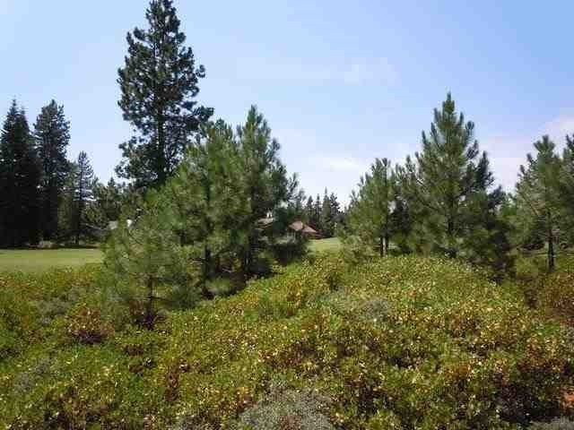 239 Flint Way, Lake Almanor, California image 5