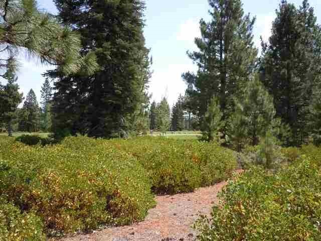 239 Flint Way, Lake Almanor, California image 4