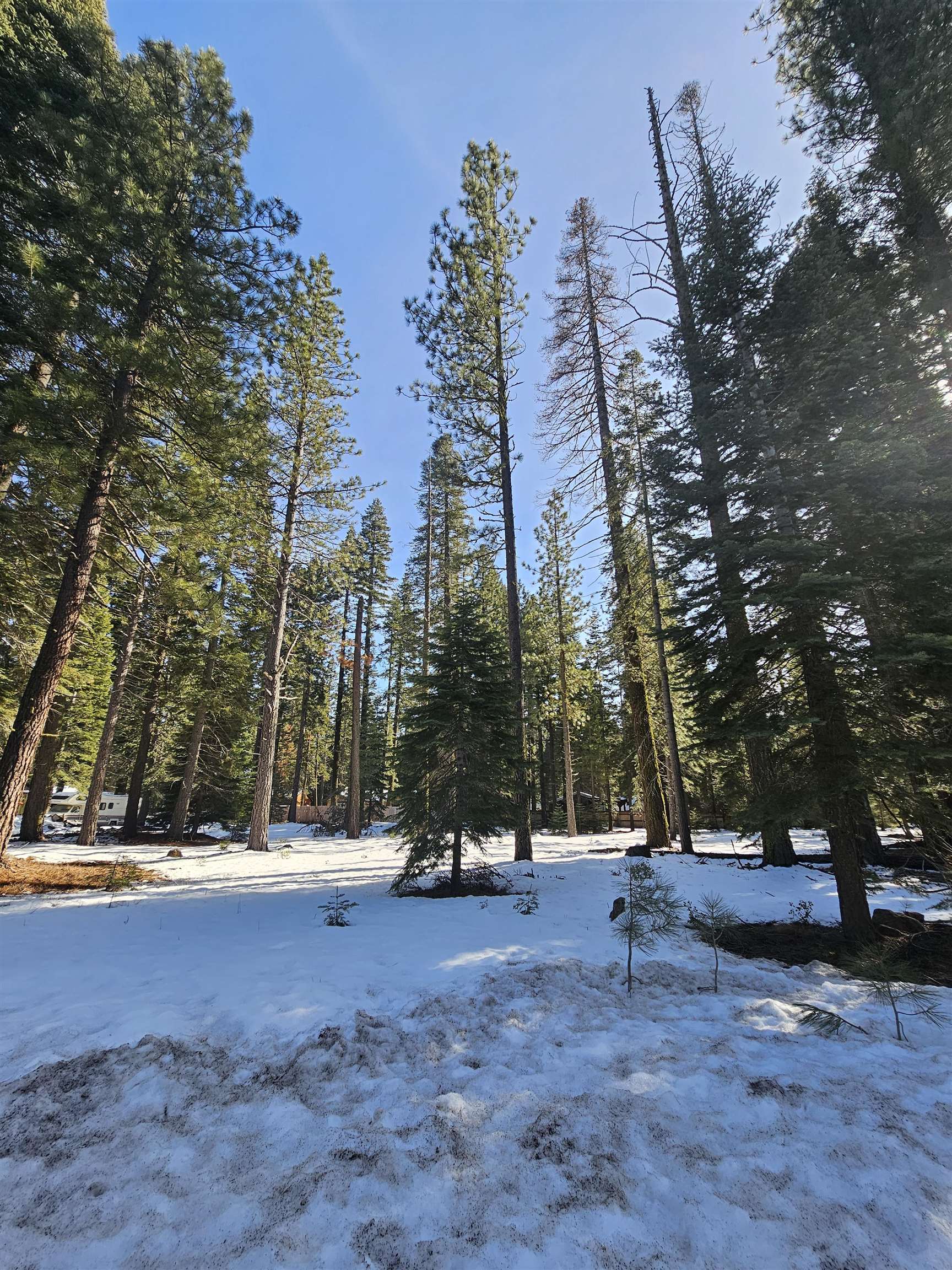 Clear Creek, California 96137, United States, ,Commercial,Active,514