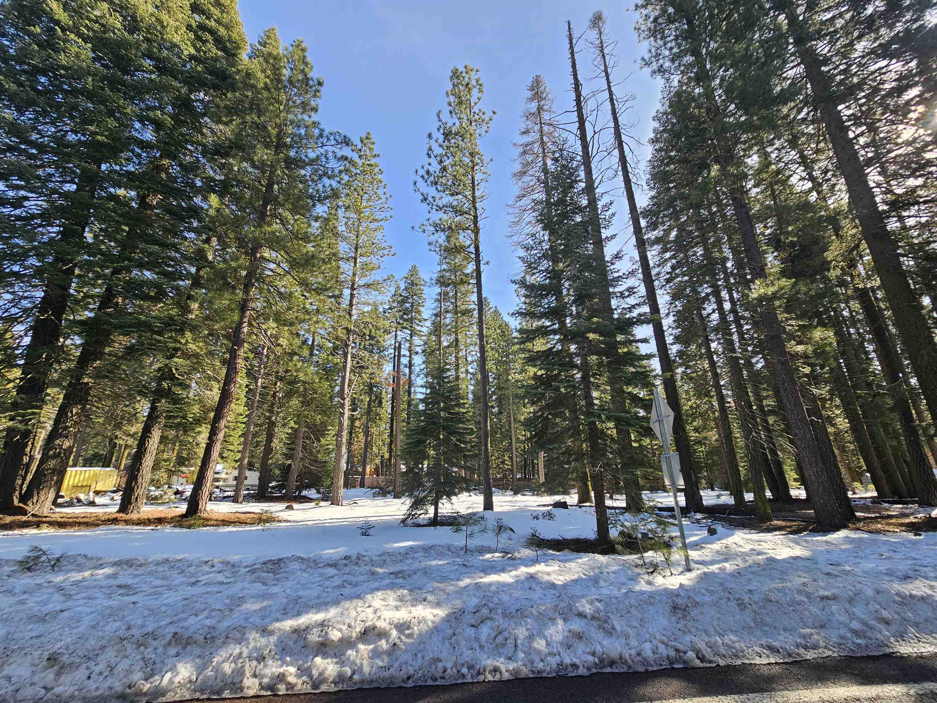 Clear Creek, California 96137, United States, ,Commercial,Active,514