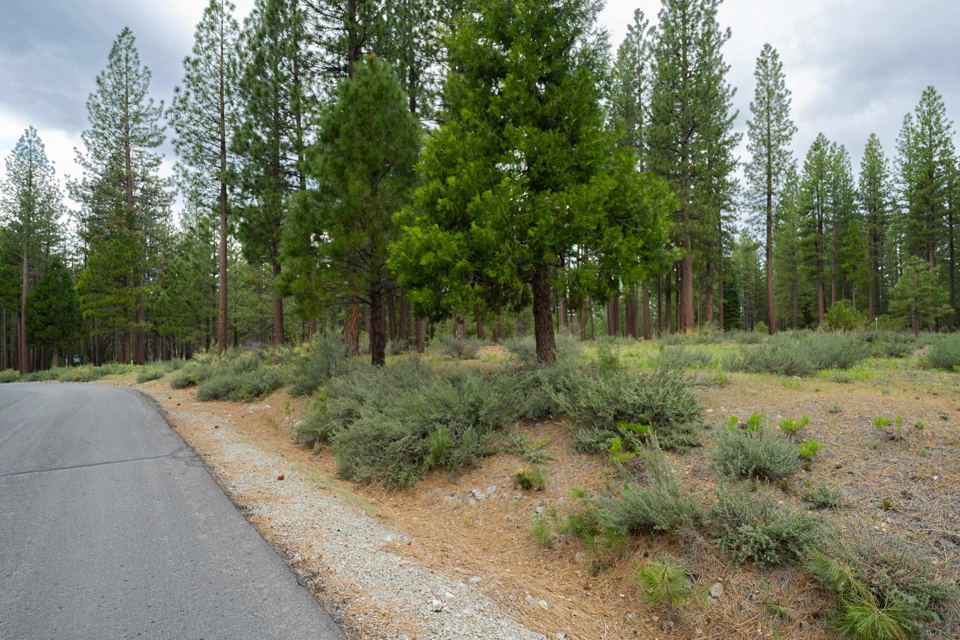 573 Bobcat Trail, Clio, New Mexico image 2