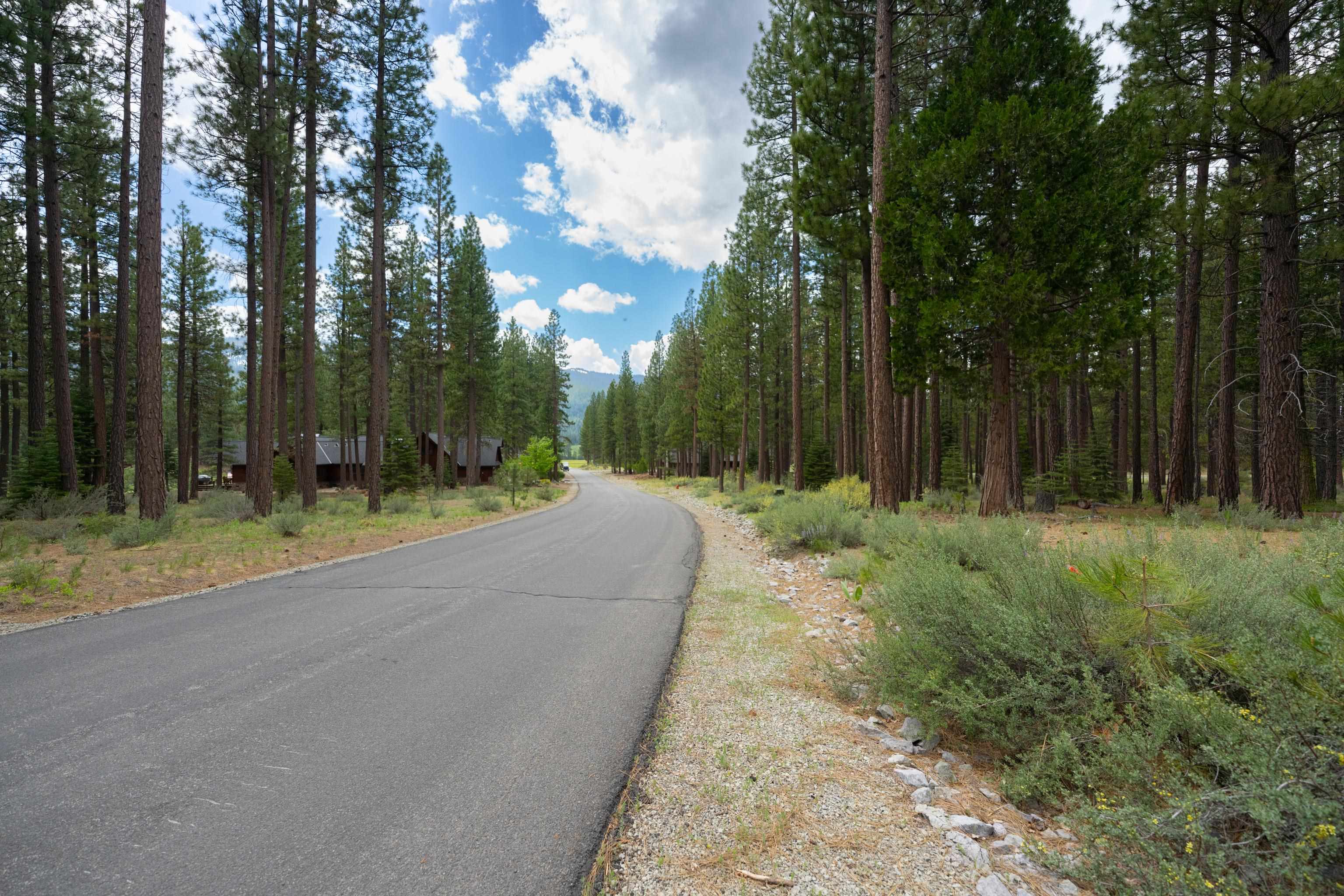 573 Bobcat Trail, Clio, New Mexico image 3