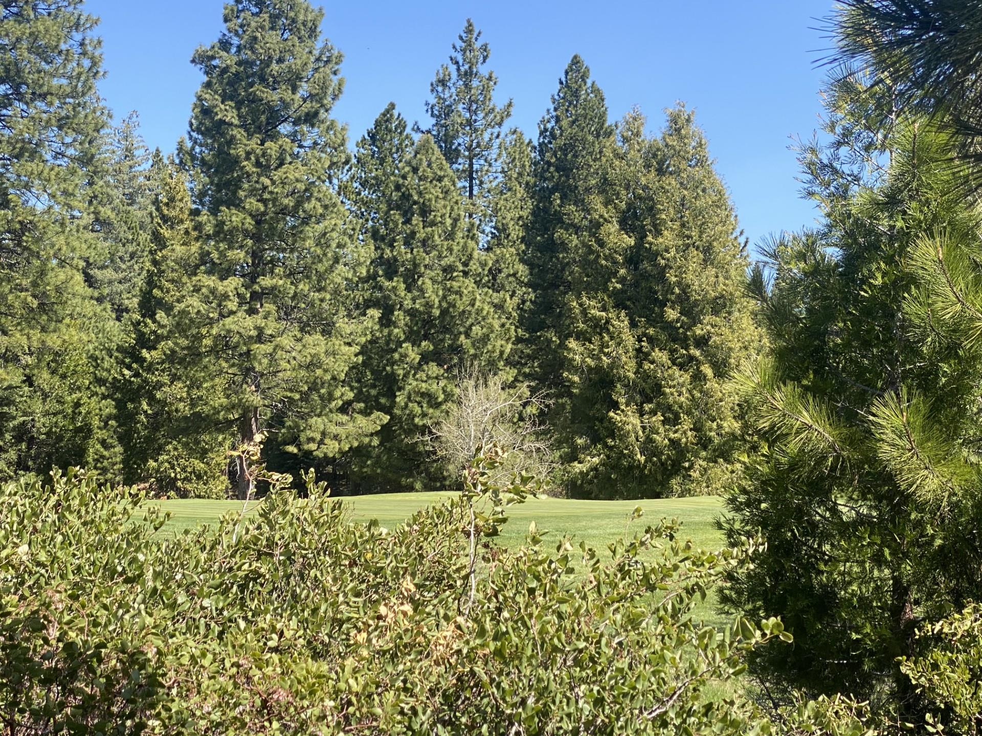150 Terranova Drive, Lake Almanor, Texas image 2