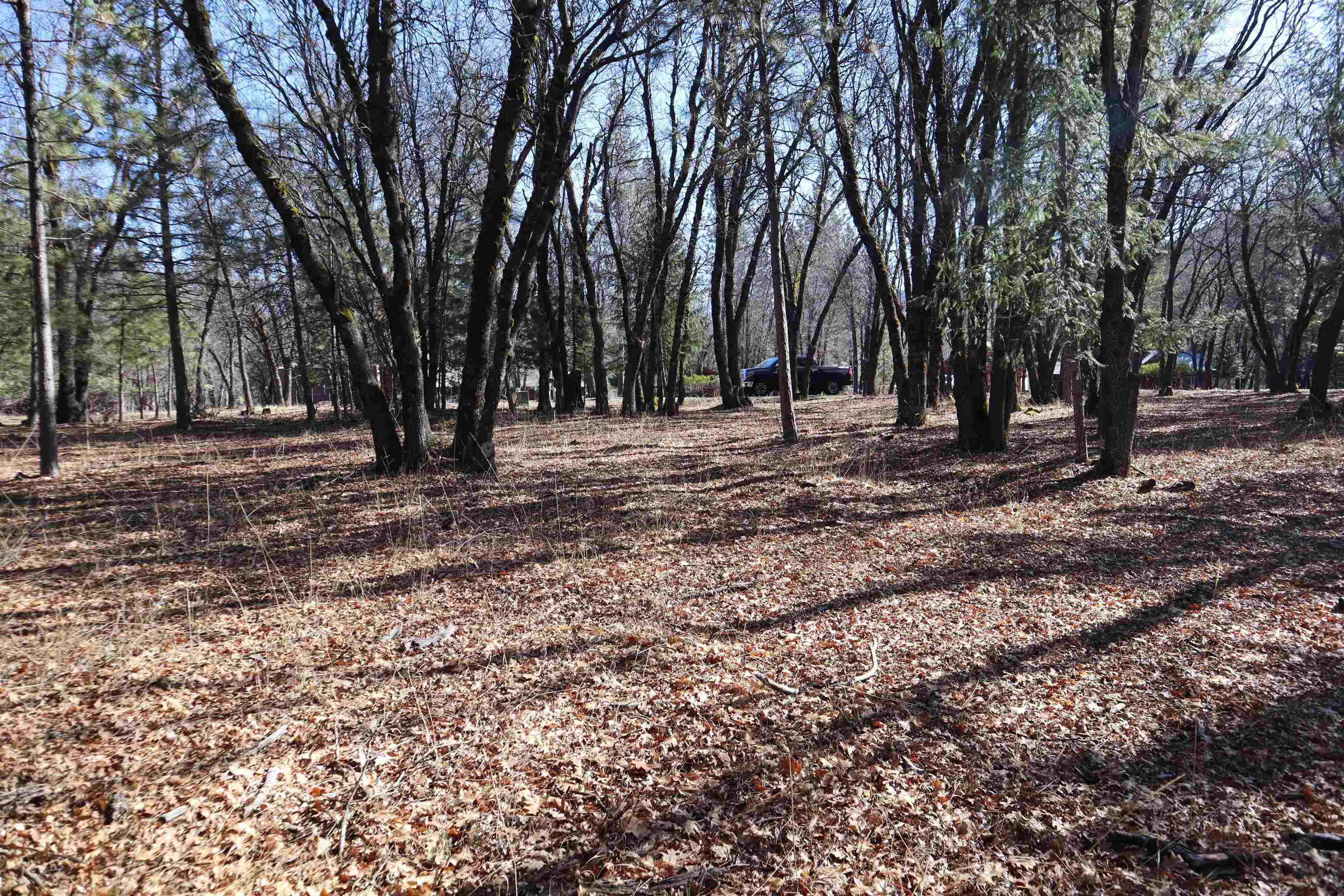 95 Mesa Drive, Quincy, Texas image 4