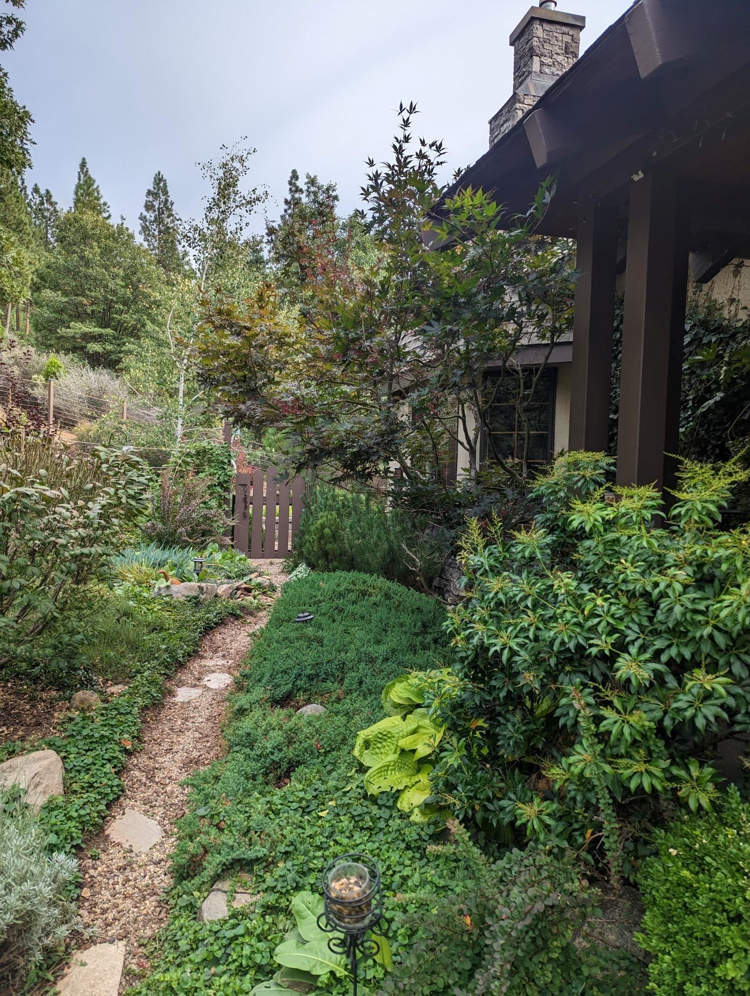 566 Main Ranch Road, Quincy, California image 6