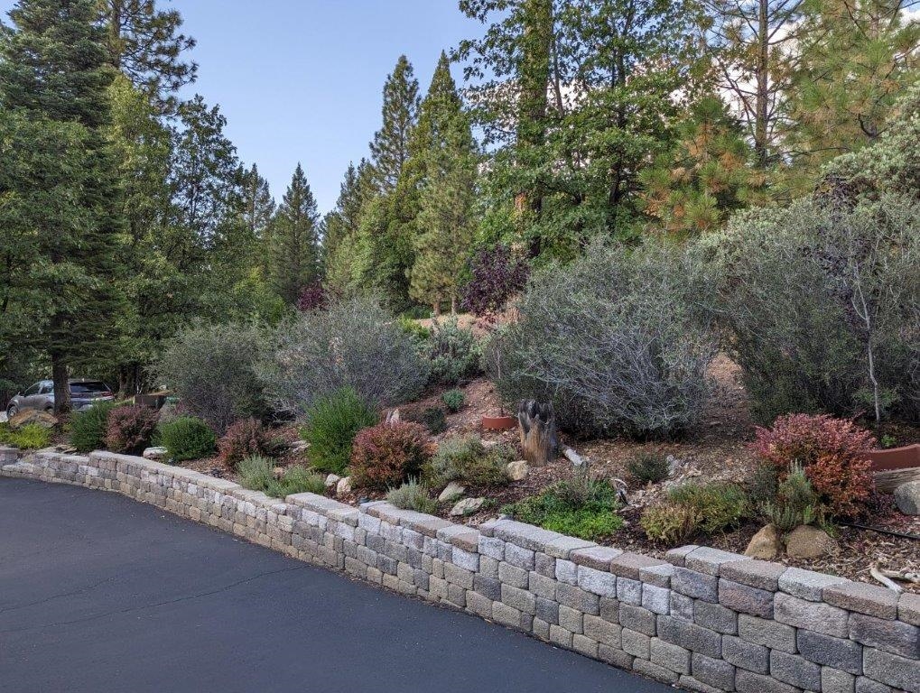 566 Main Ranch Road, Quincy, California image 7