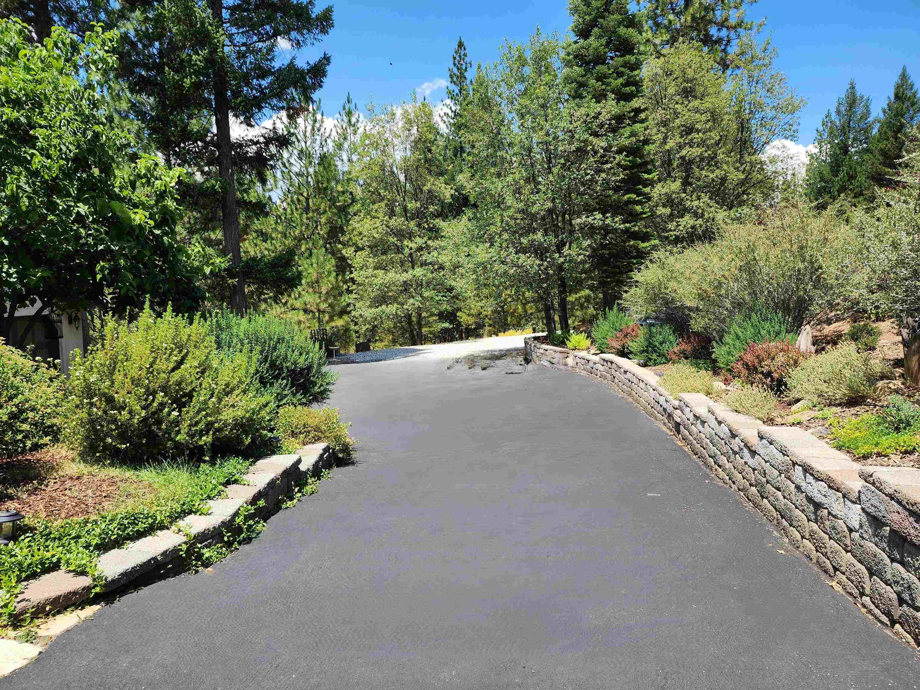 566 Main Ranch Road, Quincy, California image 5